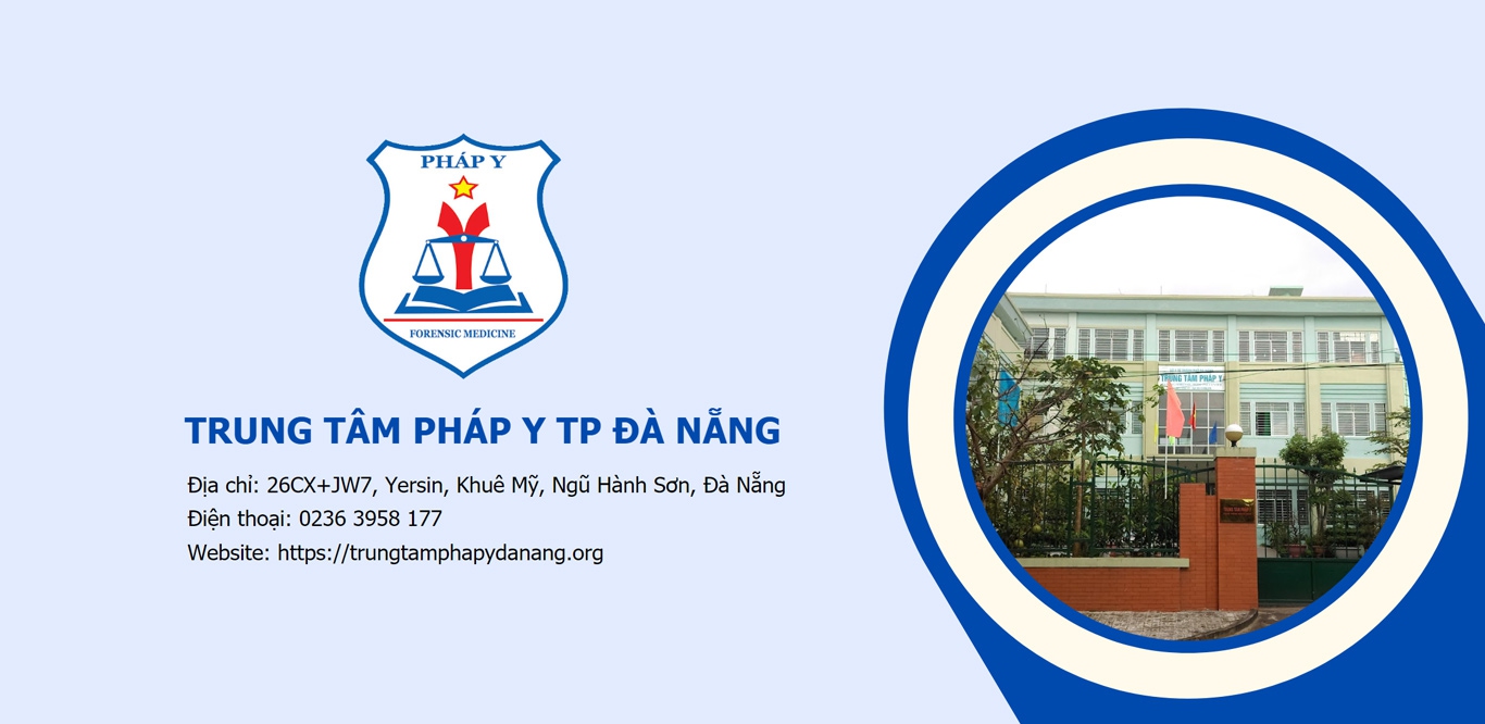 ttpy-danang-banner-4