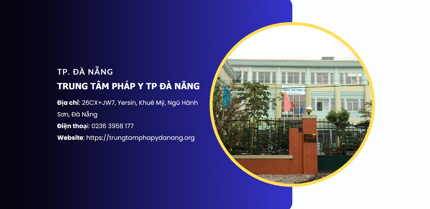 ttpy-danang-banner