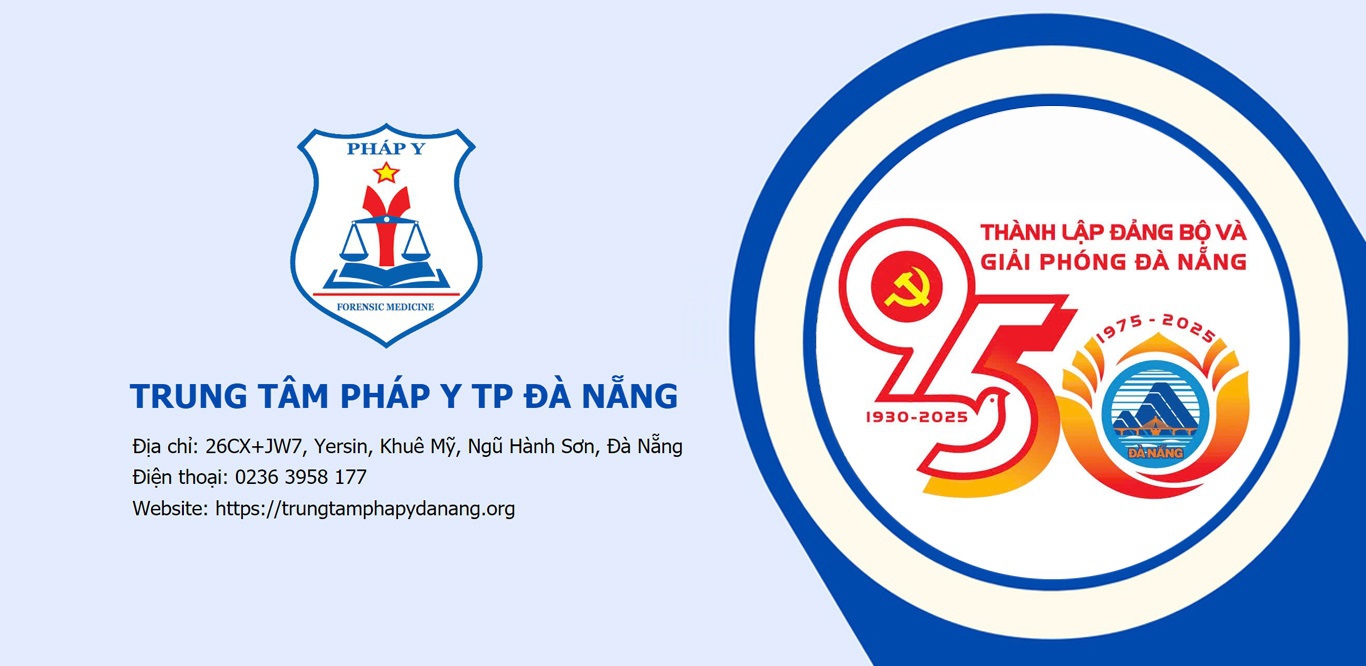 ttpy-danang-banner-7